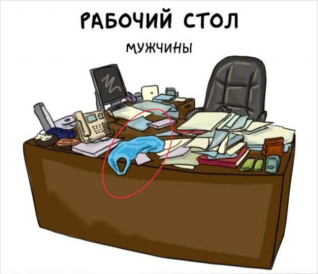 Мужчины vs. женщины: главные отличия