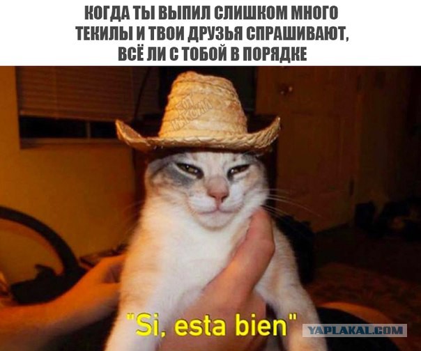 Журнал Школьный Деградант