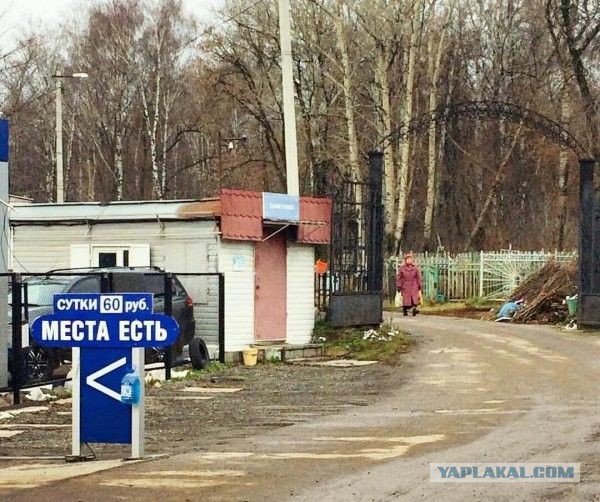 Доколе, я вас спрашиваю?