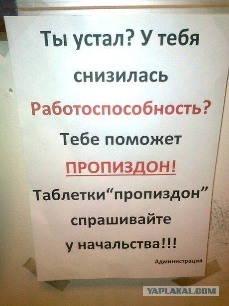 Рука руку моет ? Вот так и живём.