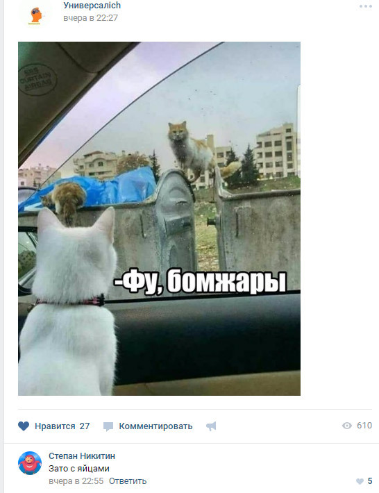 Комментарии из соцсетей
