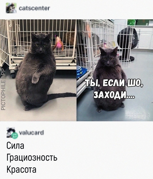 Немного картинок для настроения