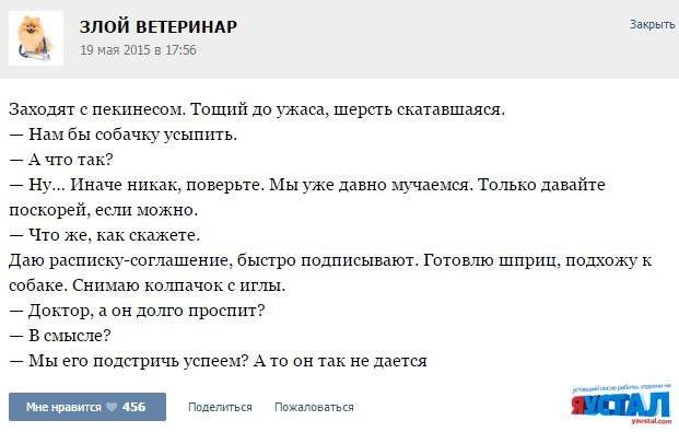 Несколько случаев из практики ветеринаров, в чьих руках — тысячи крохотных жизней