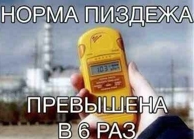А вы обои гладите?