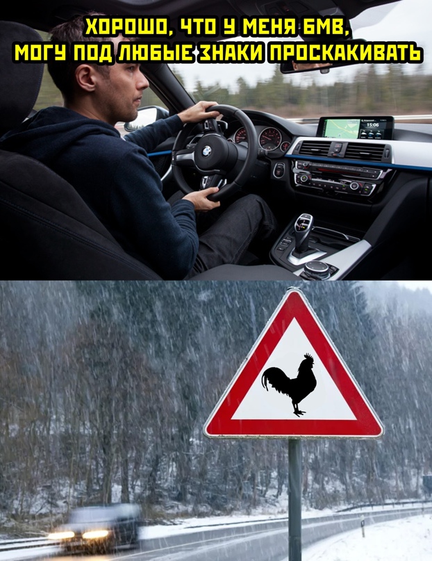 Смешные картинки