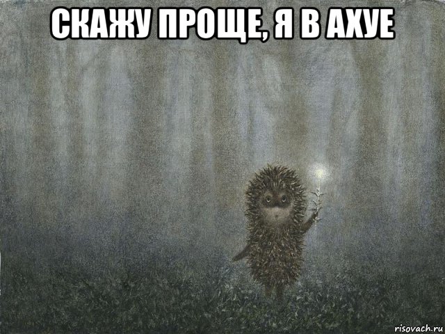 Никогда не заводите домашних ежей. Перечень причин, почему это сущий ад