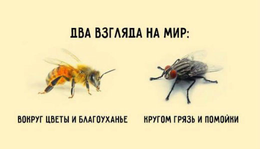 Познакомился с вьетнамкой и понял, почему русские парни переходят на азиаток. Дело в простоте