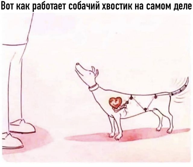 Котовторник. Картинки и буквы 08.02.22