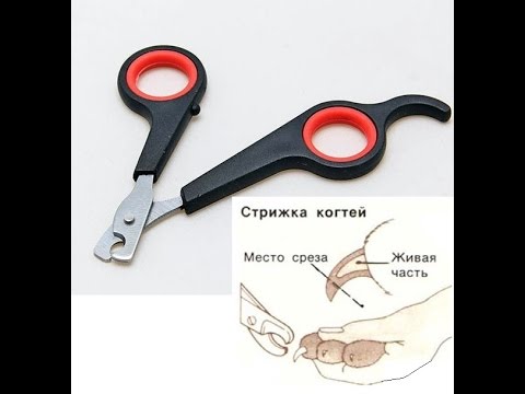Побежден, но не сломлен..