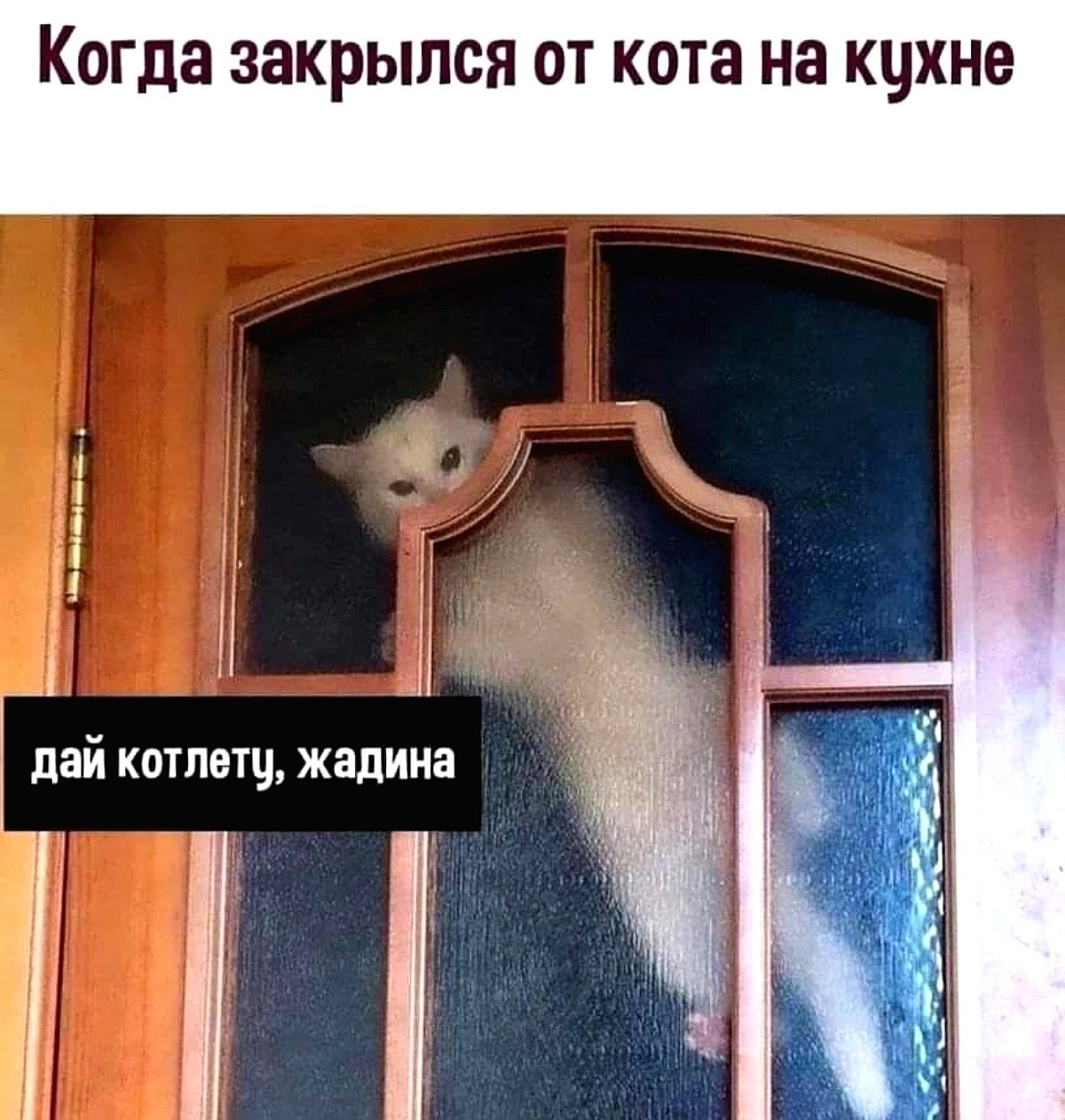 16707922.jpg