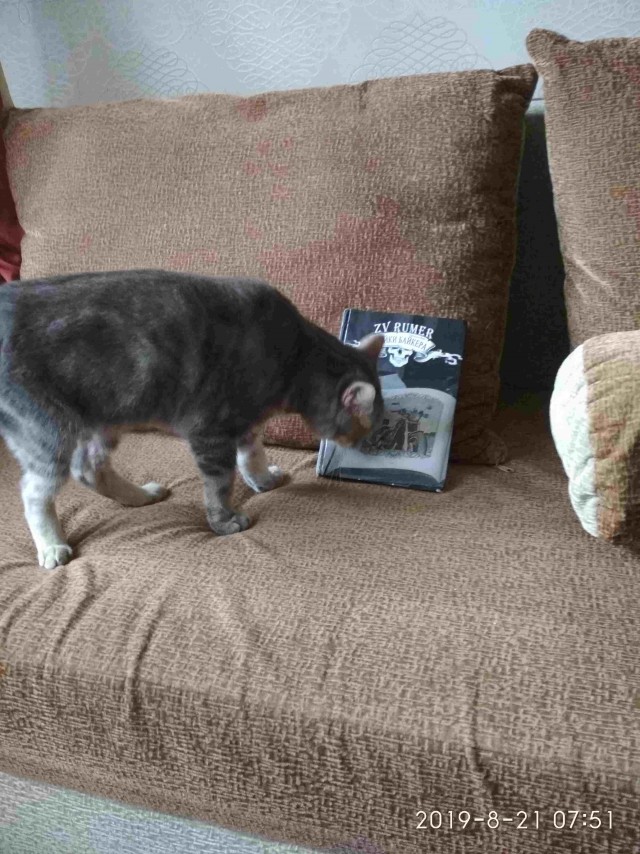 ЯП кругосветка. Этот проект завершился!