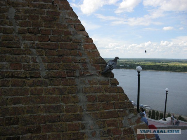 Отпуск в Нижнем Новгороде.