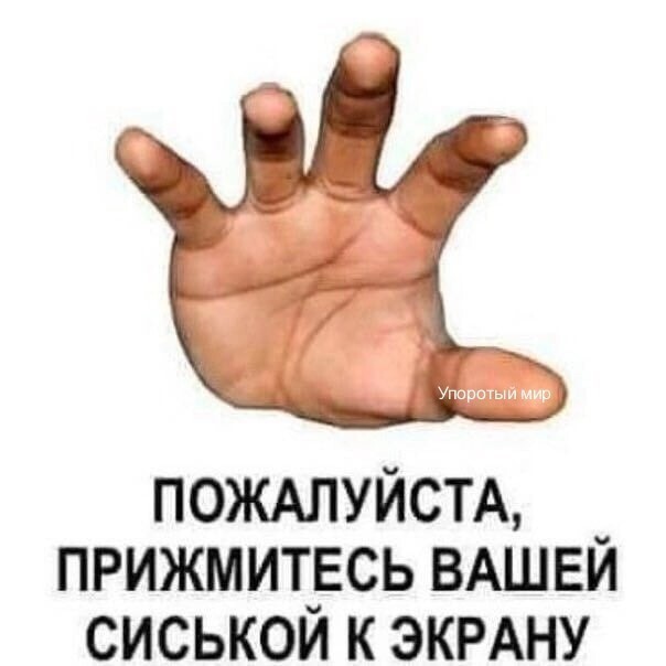 С Днём Рождения, Сальма Хайек!