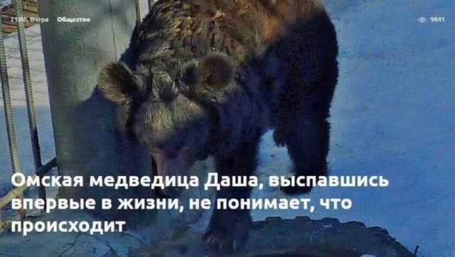 Картинки и мемы для настроения - 131