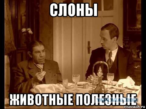 В Киеве предложили снести памятник Щорсу, но оставить коня, на котором он сидит