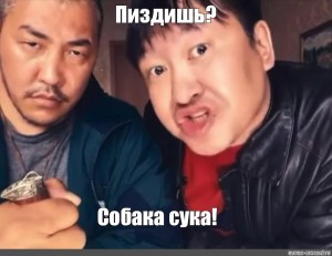 Дрыстя
