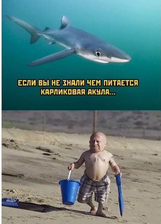 Чернила-3