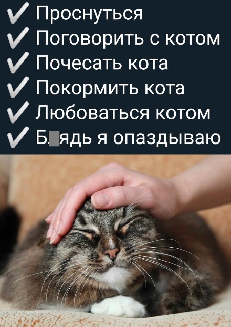 Так себе картинки 20.06.23