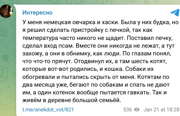 Семья⁠⁠