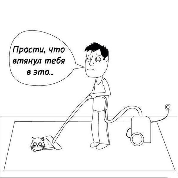 Так себе картинки 08.06.24