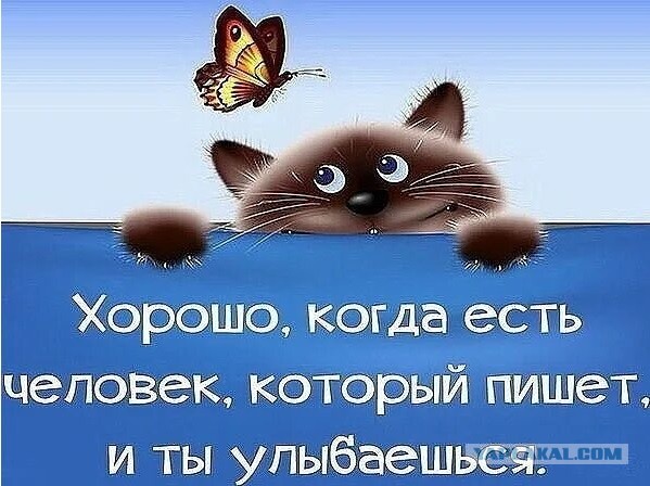 30 картинок на субботу