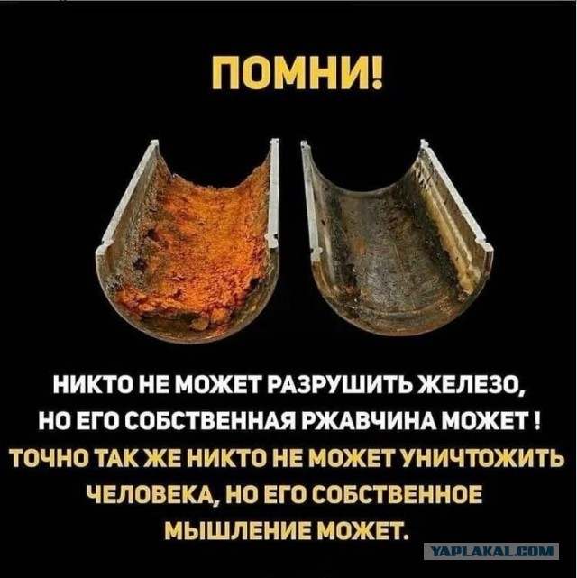 Прикольные и просто красивые картинки 04.04.2025