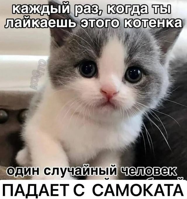 Бесконтактное ДТП