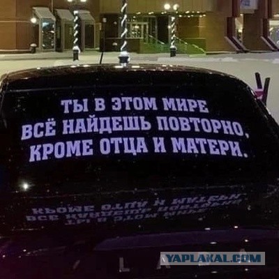 Что это за малюсенький комочек пуха?
