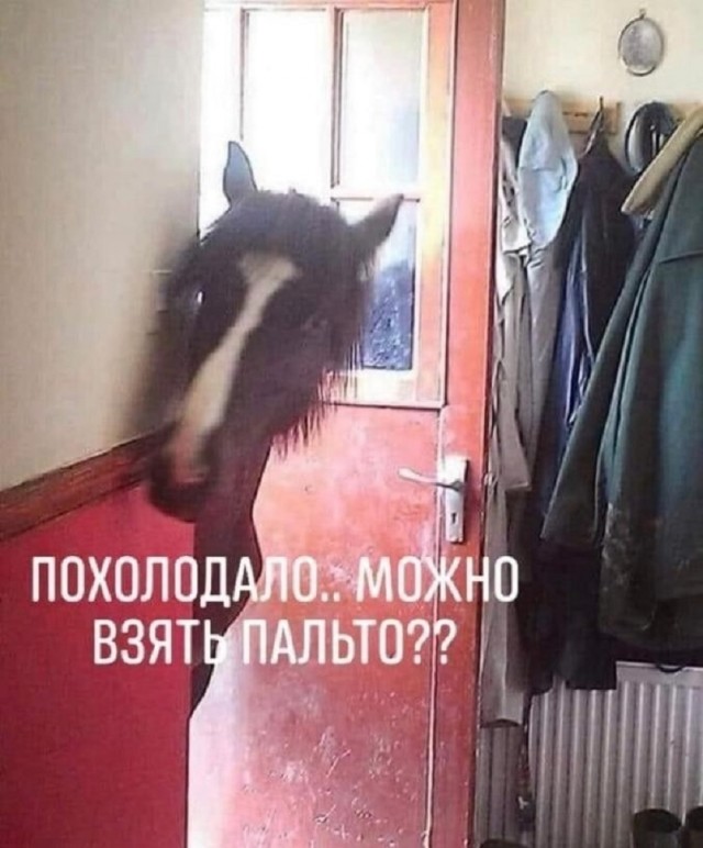 Так себе картинки 15.10.25