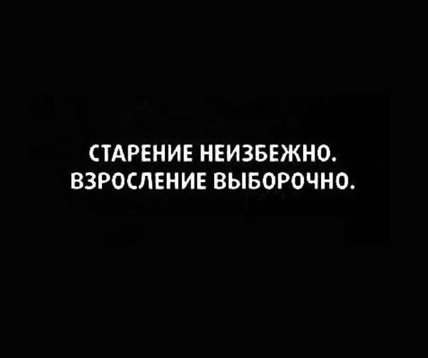 Веселые картинки в пятницу (26.12)