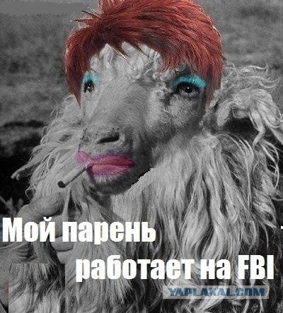 Леночка - верблюд или культура парковки
