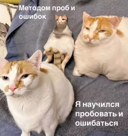 Котямбосы