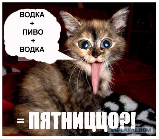 Лента анекдотов на пятницу 06.09.2013