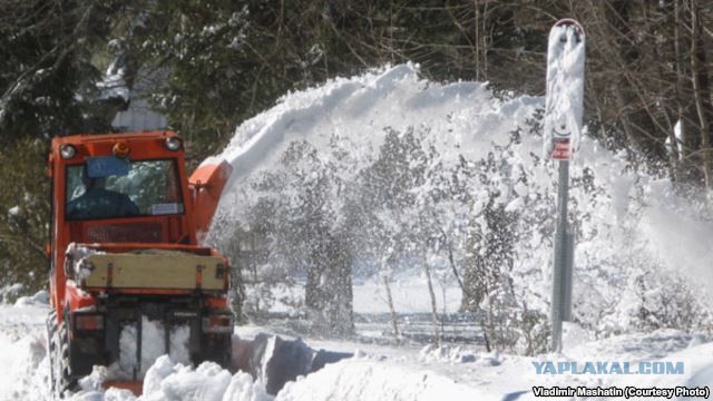 Бостон ушел под снег