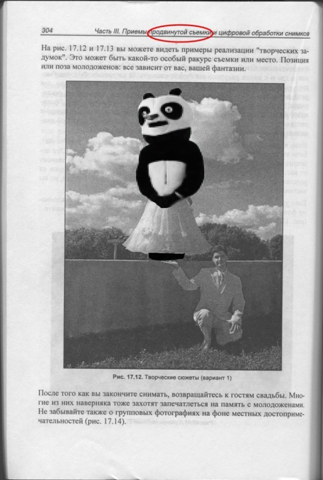 Великие творения свадебных фотографов.