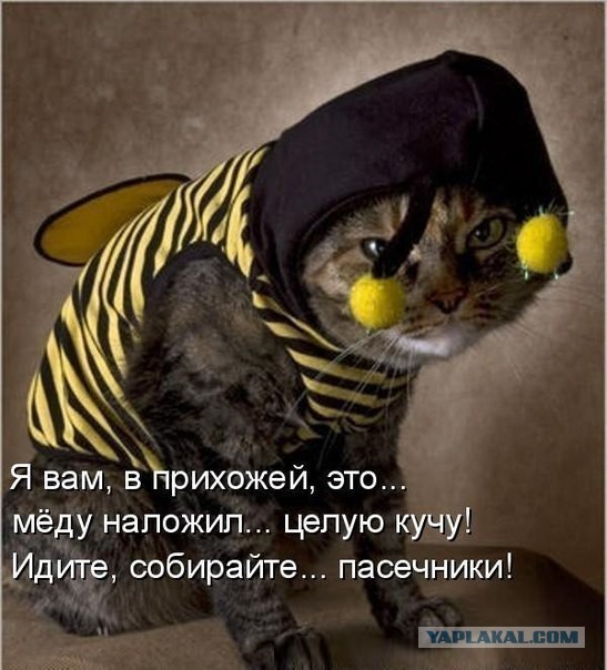 Говорящий Котейка