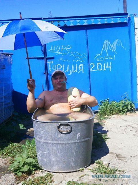Немного смешных картинок из сети