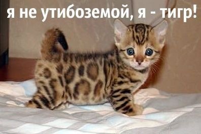 Они хотят выглядеть устрашающе!