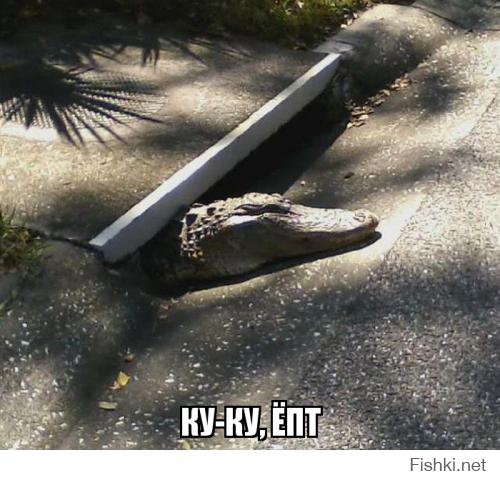 Смешные картинки