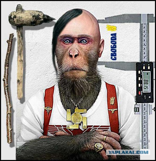 Свидомиты в Германии