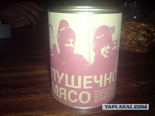 Die Welt: очередной набор “пушечного мяса”