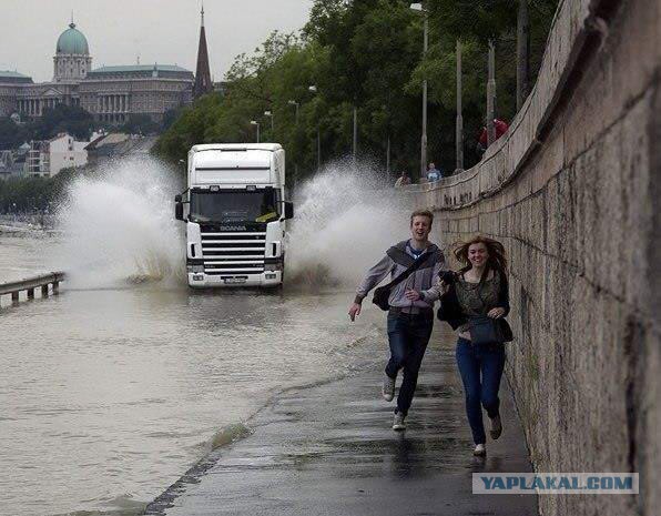 Чуть картинок