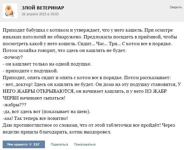 Истории от ветеринаров -6