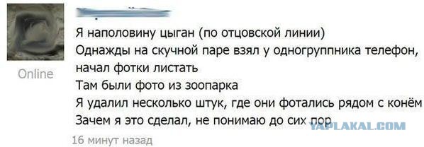 Смешные комментарии из социальных сетей