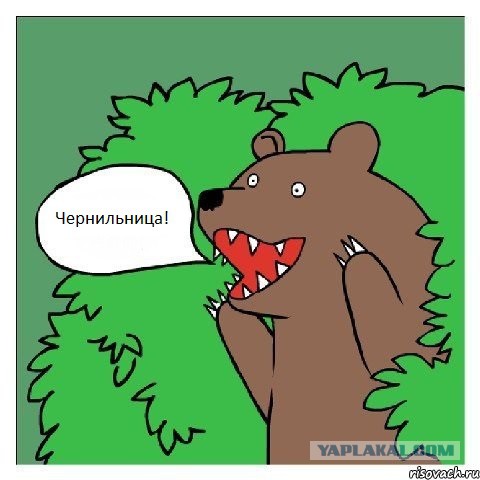 Кавказский ухажер