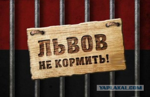 Надписи, вывески, объявления и другие буквы