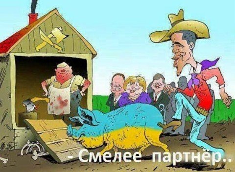 10 политических картинок часть 14
