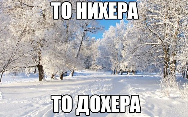 Подборка прикольных фото на пятницу