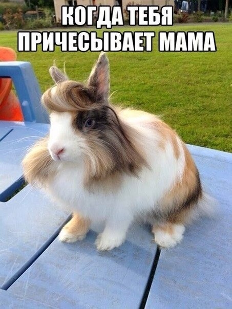 картинки на выходные