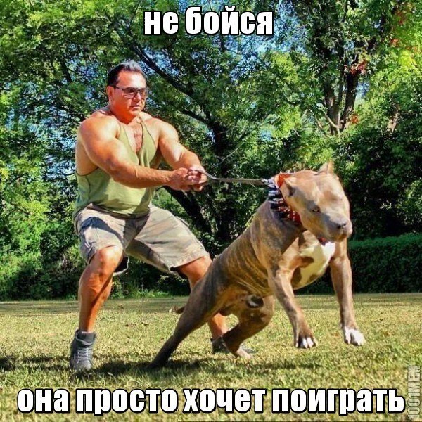 Вертолетики... приплыли.